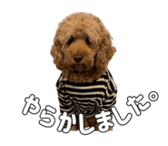 838276341