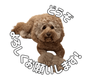 838276343