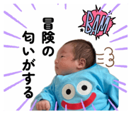 838276645