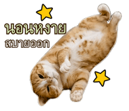 838276833