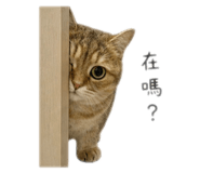 838277485