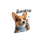 838277503