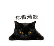 838277717