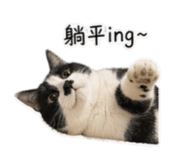 838278173