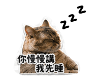 838278232