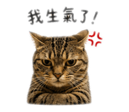 838279921