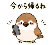 838280293