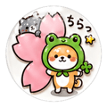 838283151