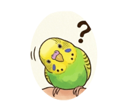 838285222