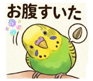 838285229