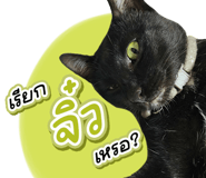 838285305