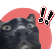 838285325