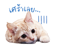 838285534