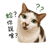 838286064