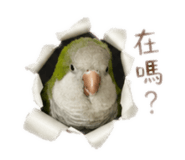 838289050