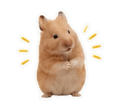 838289105