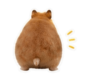 838289108