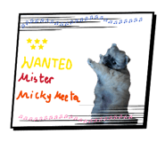 838291073