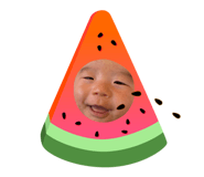 838292949