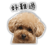 838293411