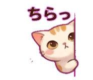 838293954