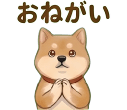 838294252