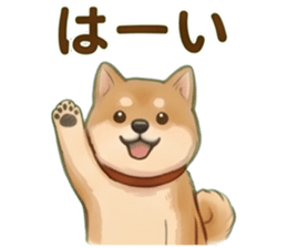 838294262