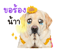 838295500