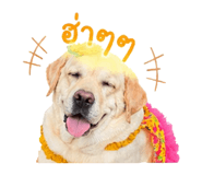 838295504