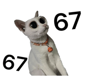 838295537
