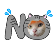 838295540