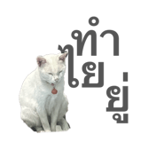 838295544
