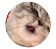 838295589