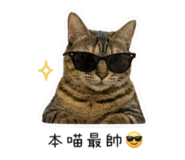 838296138