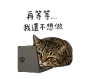 838296277