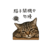 838296278