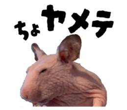 838296466