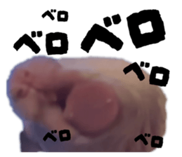 838296471