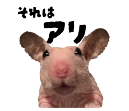 838296475