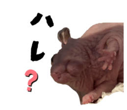 838296478