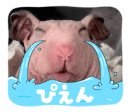 838296490
