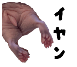 838296493