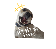 838298482