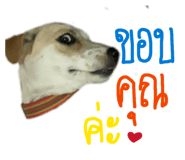 838298488