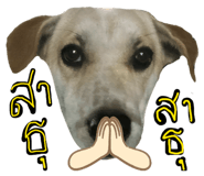838298491