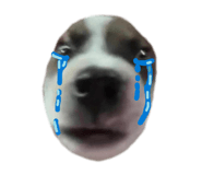 838298493