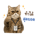 838299286