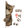 838299313