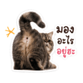 838299319