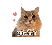 838300745